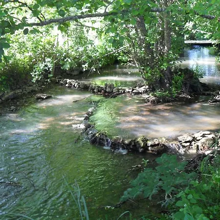 Maison Indépendante Avec Grand Jardin Et Animaux Acceptés - Fr-1-653-22 Hébergement de vacances *